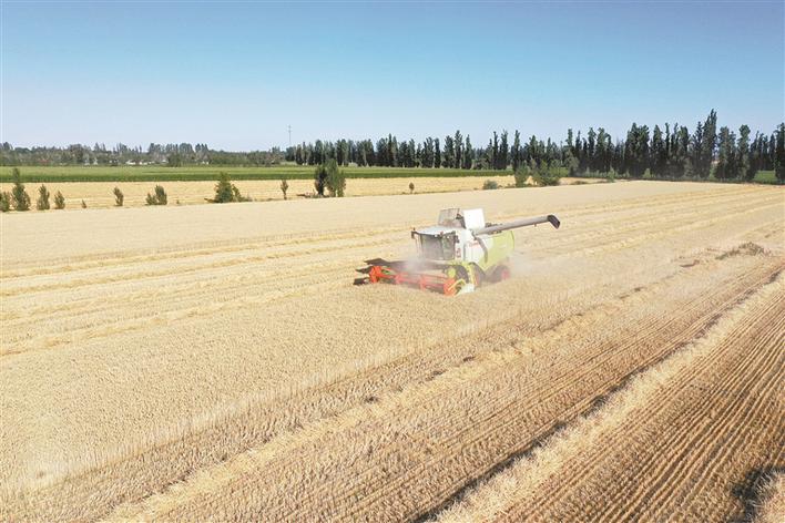 2020年，兵团经济发展逆势上扬